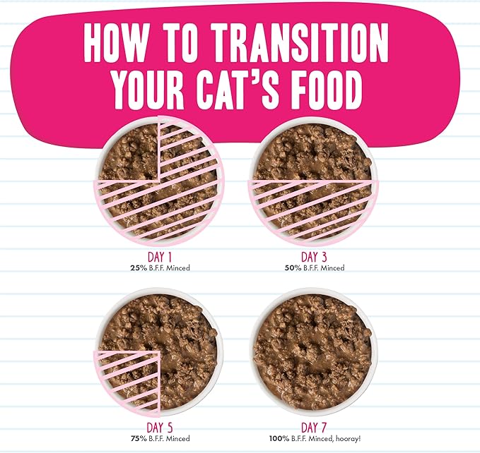 Weruva BFF Minced Natural Wet Cat Food, Tuna and Pumpkin Valentine in Gravy, 3oz Can, Pack of 24