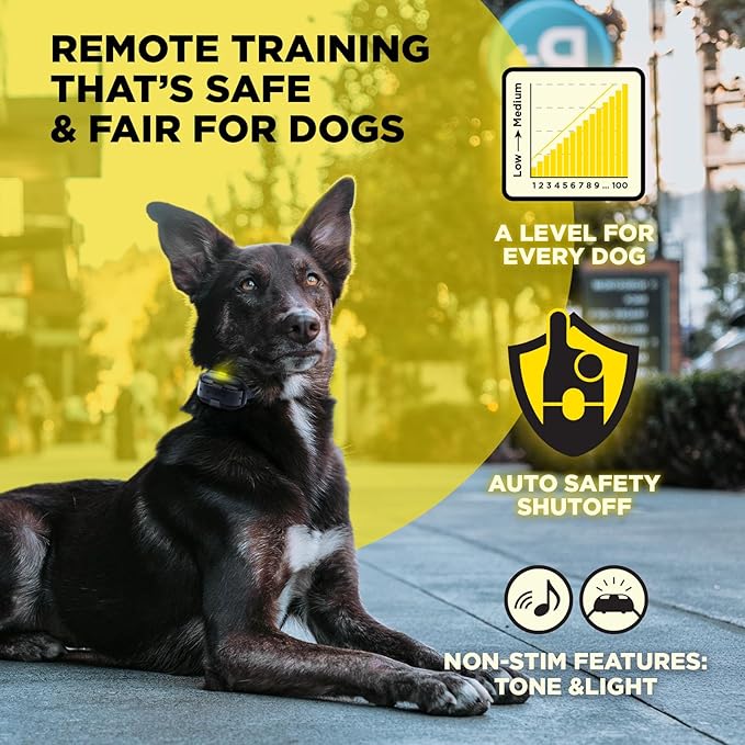 Dogtra 200iQ Remote Training E Collar – 100 Levels, Tone, Vibration, 1/2 Mile Range – Compact, Waterproof, One-Handed Control for Dogs 10 lbs+ – Lightweight Design for Daily Obedience Training