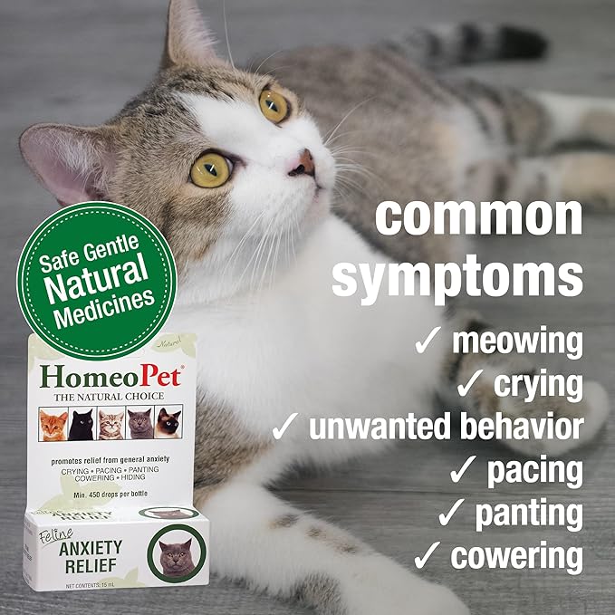 HomeoPet Feline Anxiety Relief, Natural Stress and Anxiety Support, Anxiety Supplement for Cats, 15 Milliliters