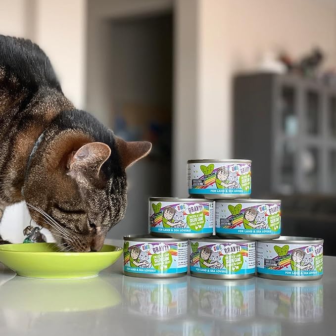 Weruva B.F.F. OMG - Best Feline Friend Oh My Gravy!, Chicken & Lamb Live N' Love with Chicken & Lamb in Gravy, 2.8oz Can (Pack of 12)