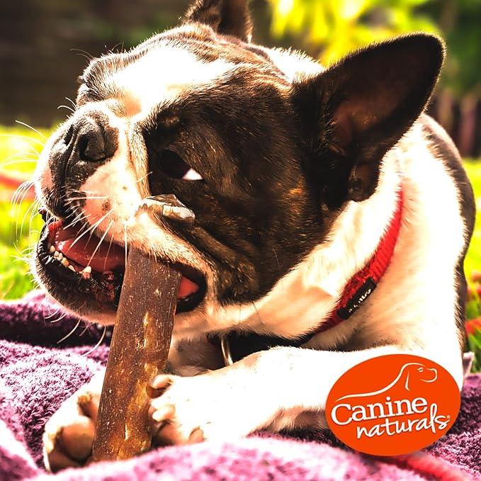 Canine Naturals Peanut Butter Chew - 100% Rawhide Free Dog Treats - Made with Real Peanut Butter - All-Natural and Easily Digestible - 2 Pack of 7 Inch Large Rolls for Dogs 50 lbs and up