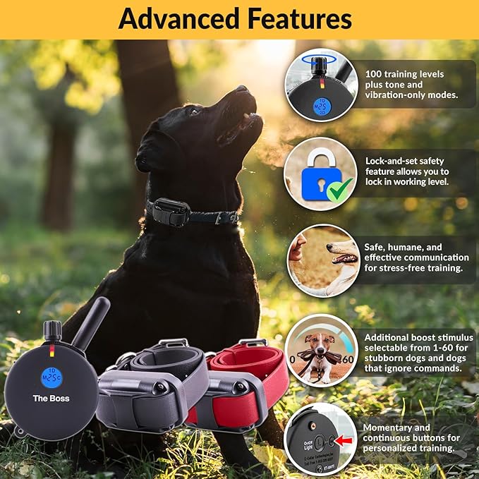 Educator E-Collar Humane Dog Training Collar with Remote, 100 Safe Tapping Stimulation Levels, Night Light, Waterproof, Rechargeable, 1 Mile 2 Large Dogs, Black