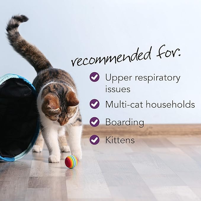 VetriScience Lysine Immunity Health Chews, 250 mg Lysine Plus Immune Supplement for Cats and Kittens with Allergies, Sneezing, Runny Nose and Watery Eyes, Chicken, 3 Pack