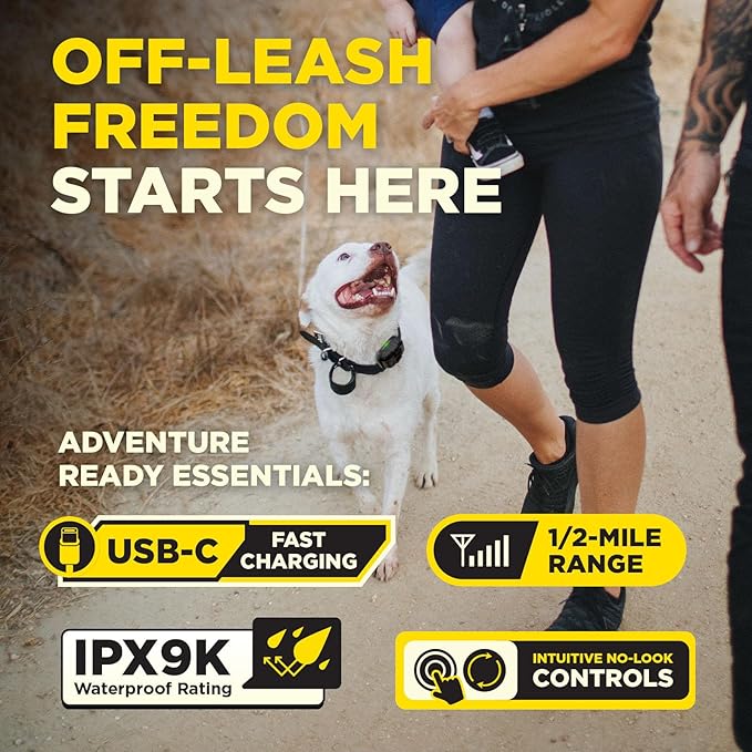 Dogtra 200iQ 2-Dog Remote Training E Collar – 100 Levels, Tone, Vibration, 1/2 Mile Range – Compact, Waterproof, One-Handed Control for Dogs 10 lbs+ – Lightweight System for Daily Obedience Training
