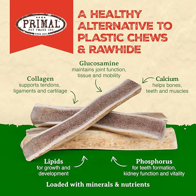 Primal Antlers for Dogs, Grade A Split Stag Antlers for Small Canines up to 15 lb, Natural Chews for Aggressive Chewers, Naturally Shed, Long Lasting Dog Bones, 1 ct