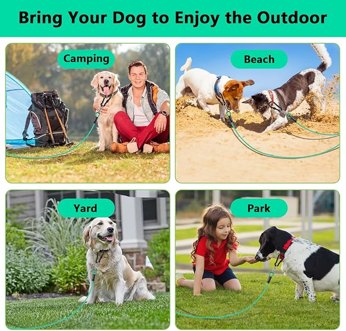 Dog Tie Out Cable 15FT-500Lbs,Heavy Duty Dog Leads&Tether for Yard with Swivel Hook,Small Large Dogs Leash Line for Outside,Rust Chew Proof Dogs Run Cable for Outdoor Camping (Green Cyan, 15FT)