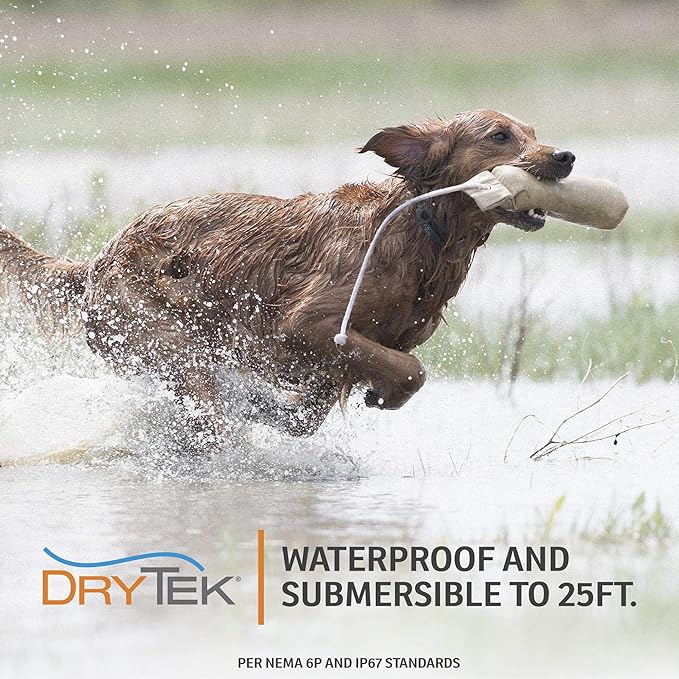 SportDOG FieldTrainer 425X - Remote Trainer Designed for Off-Leash Control & Training - 500-Yard Range - Waterproof - Quick Charge-Collar with 21 Levels of Static, Tone, & Vibration