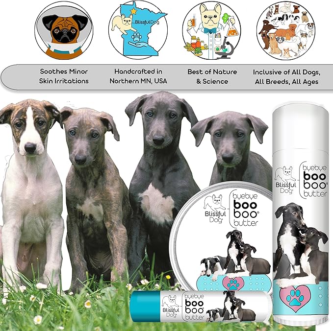 The Blissful Dog Greyhound Boo Boo Butter, 1-Ounce