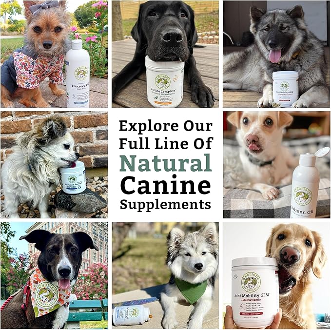 Wholistic Pet Organics Canine Complete - Dog Multivitamin Powder - 2 Lb - Daily Dog Vitamins and Supplements for Homemade Food - Immune System, Skin, Coat & Overall Health - Small and Large Breed