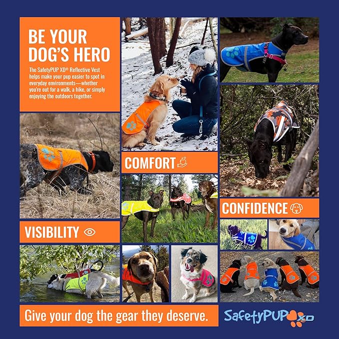 Dog Reflective Vest – Hi-Vis Fluorescent Visibility That Helps to Safeguard Your Pet On/Off Leash in Urban & Rural Areas (Teal, Small)