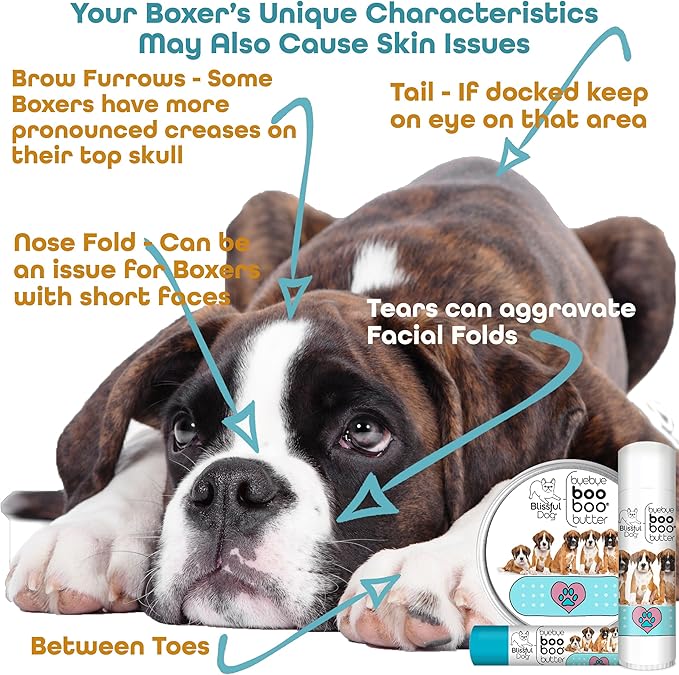 The Blissful Dog 2 oz TIN Boxer Booboo Butter