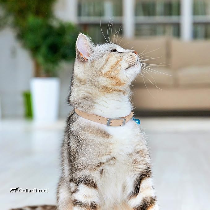 CollarDirect Leather Cat Collar, Kitten Collar with Removable Bell Black Blue Red Orange Lime Green (6-7 Inch, Beige)