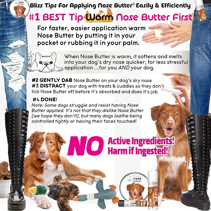 The Blissful Dog Nova Scotia Duck Tolling Retriever Unscented Nose Butter - Dog Nose Butter, 0.15 Ounce