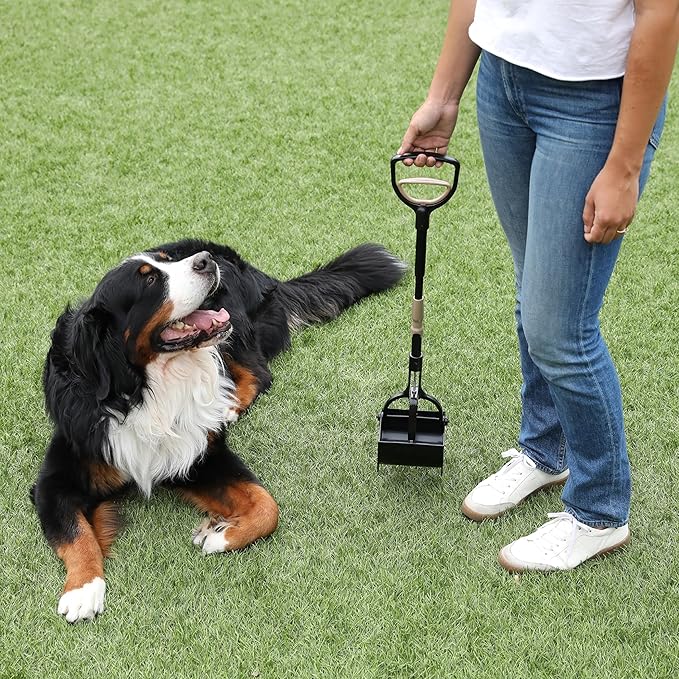 Arm & Hammer Pooper Scooper Claw Scoop Dog Poop Scooper for Yard Pet Waste Management System (Pack of 6)