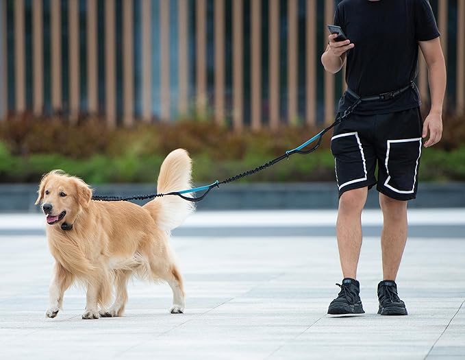 iYoShop Hands Free Dog Leash with Zipper Pouch, Dual Padded Handles and Durable Bungee for Walking, Jogging and Running Your Dog (Large, 25-120 lbs, Green)