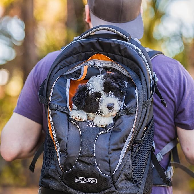 Kurgo G-Train Dog Carrier Backpack for Small Pets Up to 25 Lbs, TSA & Airline Approved, Navy Blue