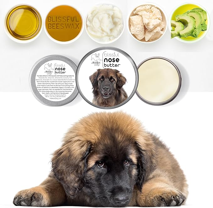 The Blissful Dog Leonberger Unscented Nose Butter - Dog Nose Butter, 16 Ounce