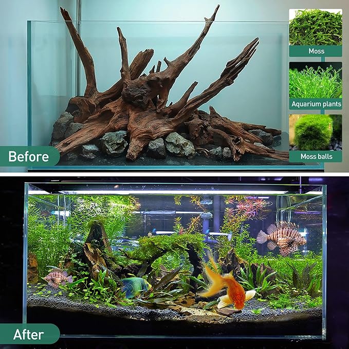 WDEFUN Natural Driftwood for Aquarium Decor, 3-Piece 7''-11'' Large Driftwood for Decorations on Fish Tank, Reptiles Bearded Dragon Accessories or Air Plants