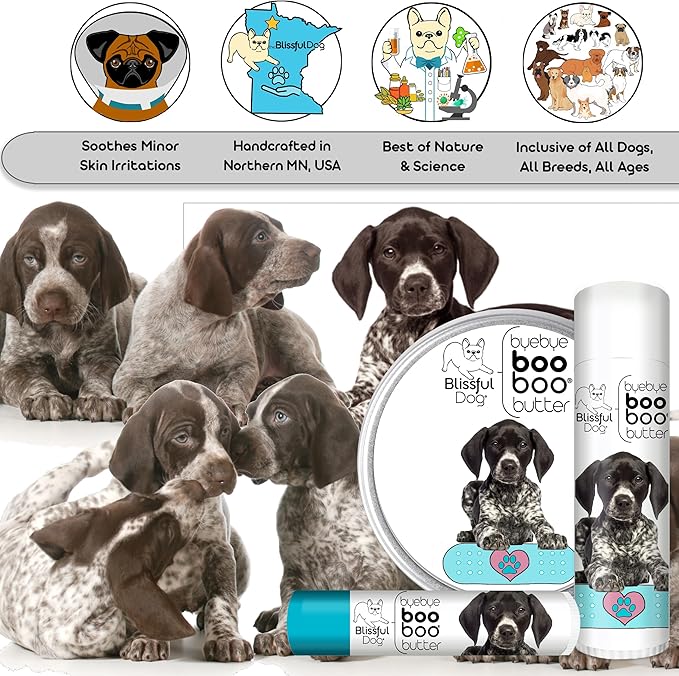 The Blissful Dog 2 oz TIN German Shorthaired Pointer Booboo Butter