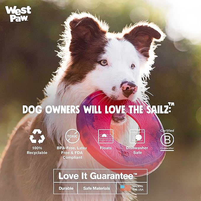 WEST PAW Seaflex Sailz Dog Toy Flying Disc – Machine Washable Dog Toys for Moderate Chewers – Eco-Friendly Zogoflex Toys for Dogs – Perfect for Gnawing, Fetch, Catch, Pet Training – Emerald