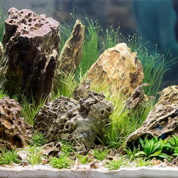 14-16 Inches Natural Dragon Stone 2 PCS Ultra Large Aquarium Rocks for Aquascaping, Aquarium Landscaping, Terrariums, Fish Tank Decoration, Vivariums, Paludarium, Amphibian Enclosures
