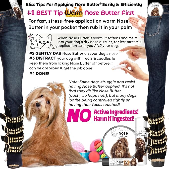 The Blissful Dog Havanese Unscented Nose Butter - Dog Nose Butter, 0.15 Ounce