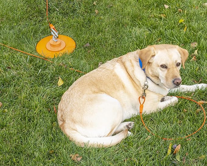 40FT Tie-Out Cables for Dogs - Strong, Safe, and Durable Dog Tie-Outs for Small Dogs up to 125 Pounds - Weather and Wear Resistant Galvanized Aircraft Cable for Outside Use