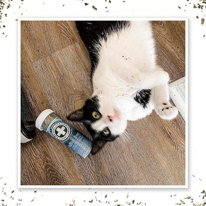 Meowijuana | Feline Frost Catnip Holiday Blend | Premium Organic Catnip | Grown in North America | Perfect for Cat Toys | Fresh Catnip for Extended Playtime