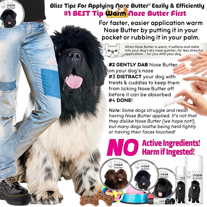 The Blissful Dog Newfoundland Nose Butter for Dry, Cracked Skin, Lick-Safe Dog Nose Balm with Moisturizing Shea Butter, Almond, Olive, and Essential Oils, Pet Supplies, Uncented, 1 oz.