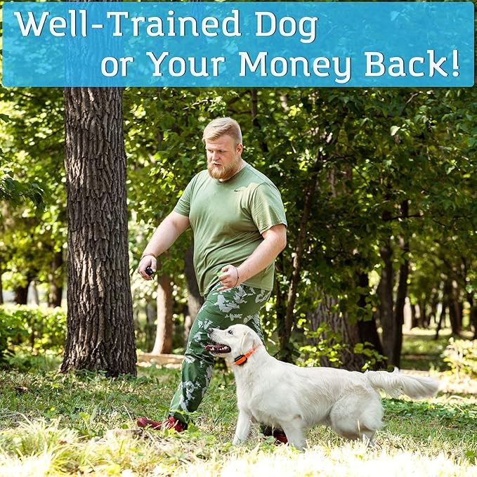PetSpy M919 Dog Training Shock Collar, 1000 Yards, Medium to Large Dogs, with Vibration, Electric Shock and Beep, Waterproof, Remote Trainer (One Dog)